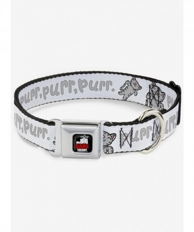 The Big Bang Theory Soft Kitty Purr Purr Purr Seatbelt Buckle Dog Collar - Made in USA