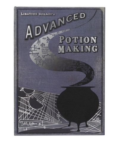 Advanced Potion Making Journal for Potions Class Notes