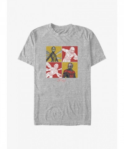 Marvel Ant-Man and the Wasp Big & Tall T-Shirt - Grey