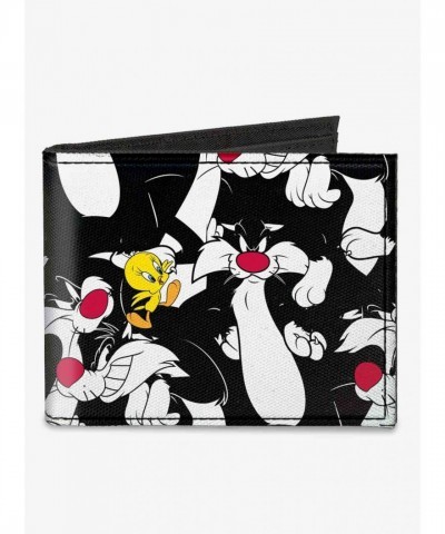 Looney Tunes Sylvester & Tweety Men's High-Density Canvas Wallet