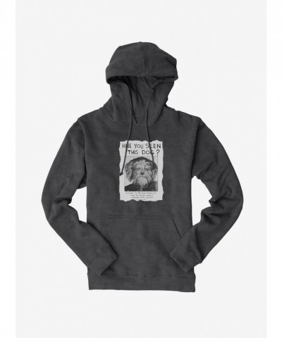 Doctor Who Adventure Hoodie for Men
