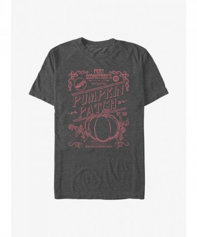 Disney Princess Fairy Godmother Grey T-Shirt for Men