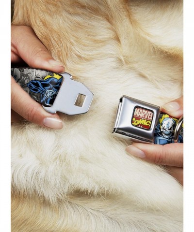 Ghost Rider 3 Riding Poses Comic Art Seatbelt Dog Collar