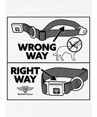 Ghost Rider 3 Riding Poses Comic Art Seatbelt Dog Collar